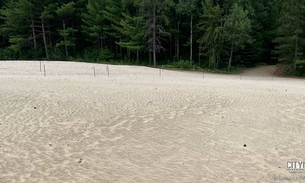 One part of the Pinhey Sand Dunes, a desert in Ottawa