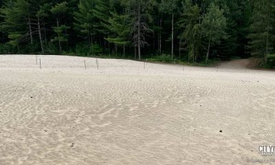 One part of the Pinhey Sand Dunes, a desert in Ottawa