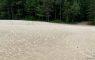 One part of the Pinhey Sand Dunes, a desert in Ottawa