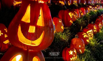Halloween pumpkins